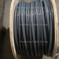 Cable de Bobinado para Motores Eléctricos Sumergibles con Conductor de Cobre Aislado en PVC HL/PE2/PA de 1000V 3kV 6.6kV 10kV 6600V