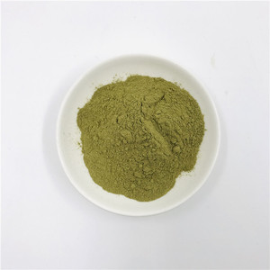 Polvo de jugo de apio Polvo de apio deshidratado a granel - Product Image 2