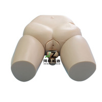Simulación médica Catéter urinario modelo de entrenamiento Simulador de cateterismo uretral femenino