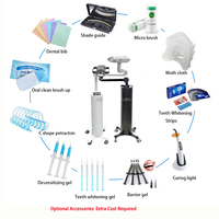 Unité de blanchiment dentaire à écran tactile pour clinique dentaire et hôpital, lampe de blanchiment à lumière froide à 10 LED (matériau plastique)