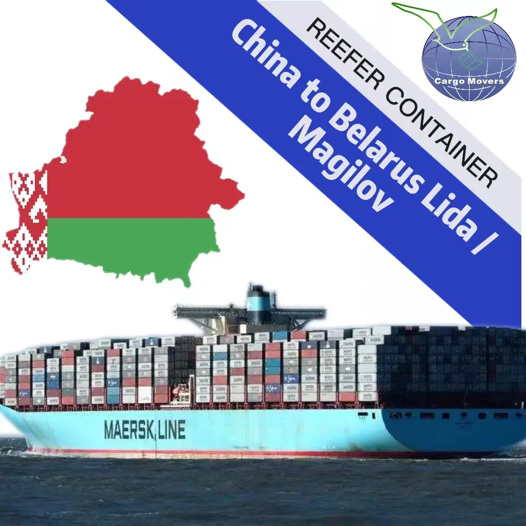 Service de transport de conteneurs Reefer de chine vers la biélorussie/Lida/magiliv