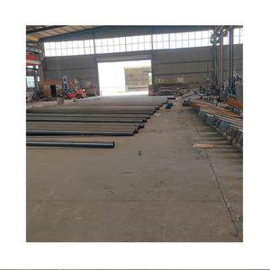 מותאם אישית חיצוני Q235 רחוב מגולוון תאורה מוט מנורת 11 מטר - Product Image 1