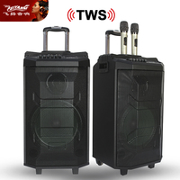 Feiyang, altavoces con carrito de madera de 12 pulgadas, amplificador Bluetooth profesional TWS, bocina de guitarra inalámbrica, deflectores de música