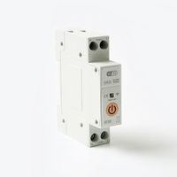 Disjoncteur intelligent TUYA WiFi sans fil avec minuterie, compteur d'énergie KWH, télécommande et protection contre les surtensions 40A