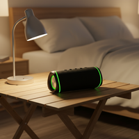 Haut-parleurs Bluetooth RGB en promotion, grande puissance 1800 mAh, enceinte TWS avec lumière LED colorée effet flamme, étanche IPX6, haut-parleurs BT sans fil