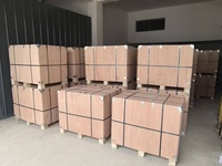 TW1061T-WL modèle de fil de lien de boucle obligatoire de Rebar galvanisé par électro de Jiangxi