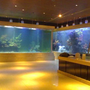 Promotie Rechthoekige Grote Acryl Achtergrond 200 Gallons Kunstmatige Vissentank <span class=keywords><strong>Aquarium</strong></span> - Product Image 3