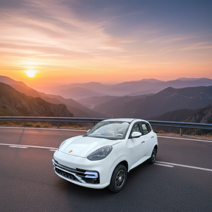 سيارة كهربائية NUEN عالية الأداء بسعر منخفض، سيارة صغيرة كهربائية جديدة للطاقة النظيفة متوفرة في المخزون، سيارة ميني جي واجن كهربائية - Product Image 2