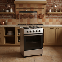 Kompor Gas 4 Tungku Stainless Steel Besi, Grill Hemat Tempat, Wajan, Oven, Kompor Dapur untuk Restoran dan Rumah Tangga