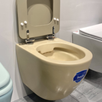 Mat Kaki Couleur CE Mur Monté Sanitaire Cuvette De Toilette Salle De Bains Suspendu Placard D'eau Réservoir Caché En Céramique Mur Suspendu Toilette