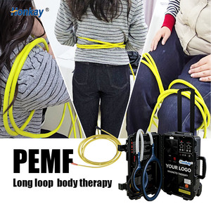 Appareil de massage PEMF à double commande pour soulager les douleurs musculaires, dispositif de magnétothérapie pour usage humain et équin, certifié CE - Product Image 1