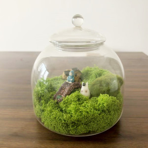 Tự làm cảnh quan thủy tinh container với nắp cho Tabletop rêu hoa hiển thị nhà vườn trung tâm hồ cạn - Product Image 4
