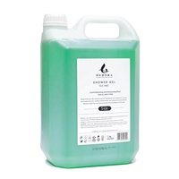 Shampooing et revitalisant pour hôtel Debora OEM Manufacturer, saveur naturelle d'arbre à thé, 5 L, ensemble d'articles de toilette pour hôtel en vrac de 5 litres