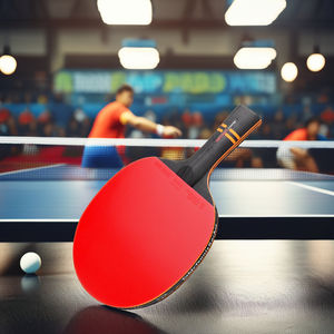 Gran oferta, 2 uds., murciélagos de ping pong profesionales, juego de raqueta de tenis de mesa profesional con 3 bolas de madera y goma - Product Image 6