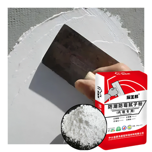 Acrilico scremato stucco Super bianco a prova di muffa per pareti in calcestruzzo e cartongesso resistente all'umidità facile applicazione con spazzola acqua - Product Image 6