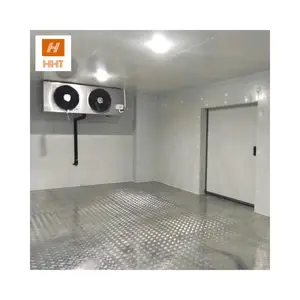 Angus fresco carne congelação rápida congelador recipiente peixe sala fria modular sala fria