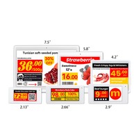 Kit de Etiquetas Electrónicas para Estantes de 4 Colores, 10 Unidades, Pantalla E-Paper E-Ink, Etiquetas Digitales de Precio, Plástico IP65 para Interiores, OEM, Centro Comercial