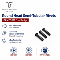 Rivets semi-tubulaires à tête ronde personnalisés TianFang pour la production de joints de présentoirs, en titane poli, approvisionnement stable par lots