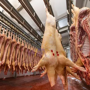 Small Scale Slaughterhouse 50 - 200 Head Per Day Hog Abattoir Equipment Pig Slaughter Line Butcher Machine