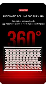 WONEGG verimlilik tam otomatik kanatlı yumurta çıkım satılık 400 adet yumurta kuluçka