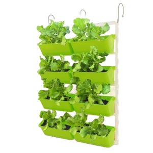 Foresta Box brevettato senza Punch fioriere a muro quadrato interno ed esterno casa casa giardino scatola di fiori - Product Image 2