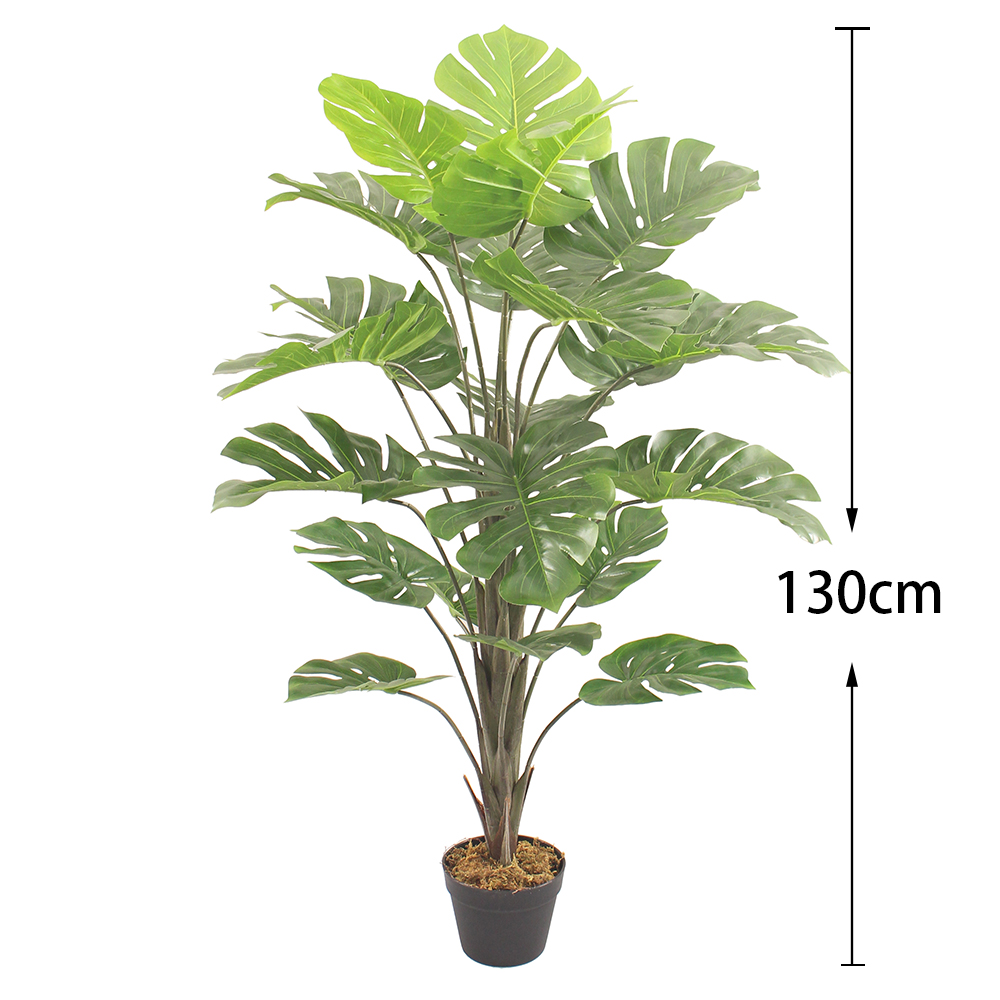 130cm