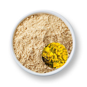 Polvo de genisteína Natural puro Extracto de Sophora Japonica 98% Genistein 98% Saphora Japonic - Product Image 1