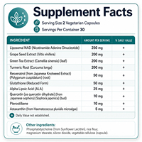WELLBODY Factory Direct Lipospmal Nad Capsule avec Glutathion Astaxanthine Quercétine pour la Récupération Cellulaire et la Réparation Musculaire, 60 Capsules