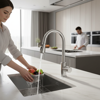 Robinet de lavabo classique en laiton nickel brossé, à montage sur comptoir, avec bec flexible, pour cuisine