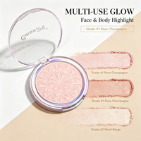 Palette de fard à joues et d'enlumineur LSFAIRY LF187, ensemble de poudres pour le visage professionnel, format voyage, emballage personnalisé, fournisseur, logo personnalisé