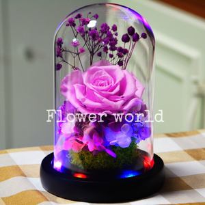 Заводская поставка, Подарочная коробка с натуральными цветами, настоящая сенсорная вечная роза, сохраненные цветы навсегда, стеклянный купол, светодиодный светильник на Рождество - Product Image 4