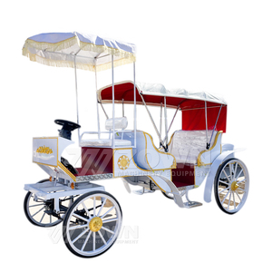 Nuevo Modelo 2026: Carroza Eléctrica de Lujo para Turismo, Ideal para Parques, Bodas y Servicios de Transporte en Resorts Turísticos - Product Image 5