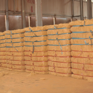 Nueva Fibra de Coco Dorada de Primera Calidad, 100 kg, 3% de Impurezas, Humedad 22-26%, Material para Relleno de Colchones - Product Image 1