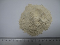 Poudre de raifort déshydratée séchée à l'air, épices, poudre de wasabi blanche