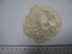 ผงเครื่องเทศวาซาบิสีขาวแห้งหัวไชเท้าม้าแห้งจากพืชชนิดหนึ่ง - Product Image 2