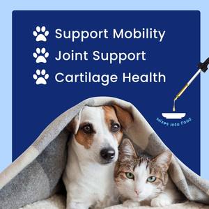 OEM <span class=keywords><strong>Dog</strong></span> infusi di sapore glucosamina condroitina MSM gocce Pet articolazione dell'anca pelle intestino del rene e del fegato immunitari integratori di cane - Product Image 3