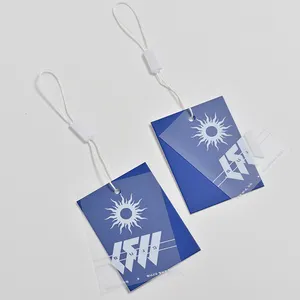 Logo stampato personalizzato cartellini in PVC trasparente cartellini per vestiti per indumenti, cartellini per abbigliamento in PVC smerigliato di carta di lusso e etichette per altalena con stringhe