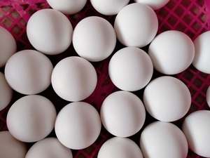 Diameter 16mm PTFE <strong>Valve</strong> <strong>Ball</strong> for <strong>Ball</strong> <strong>Valve</strong> Seats and Seals - Product Image 5