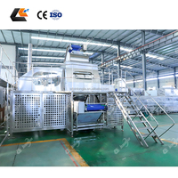 1-20T/H Hoge Productiviteit Stoomschilmachine voor Knoflook, Fruit & Groenten (Perzik, Appel, Banaan)