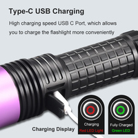 365nm UV-Taschenlampe USB-C Wiederaufladbare Schwarzlicht-Taschenlampe mit Filterlinse für Haustier-Urin, Mineralien und Banknoten-Fluoreszenzprüfung