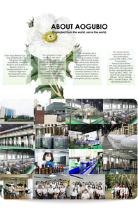 Aogubio Suministro a granel Mayoristas Octildodecanol - Product Image 6