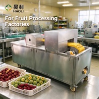 Automatische rode dadel ontpitmachine van roestvrij staal, olijf-, pruimen- en jujube-ontpitter voor fruitverwerkingsfabrieken