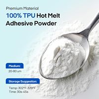 PUNEHOD Poudre de transfert DTF TPU blanche, adhésif thermofusible numérique 500g/17.6oz, préchauffage, compatible avec toutes les couleurs de tissus, DTG