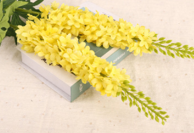 สีเหลือง