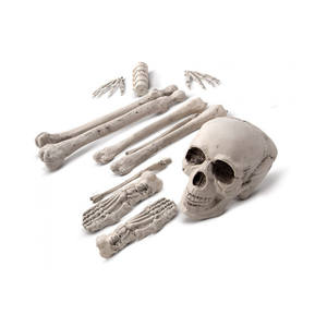 SET DI 12 OSSI IN PLASTICA - Product Image 1