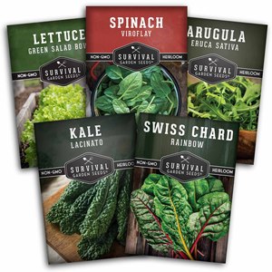 Venta al por Mayor <span class=keywords><strong>de</strong></span> Semillas <span class=keywords><strong>de</strong></span> Espinaca, Lechuga, Kale, Rúcula y Hoja <span class=keywords><strong>de</strong></span> Azufaifo, 5 Variedades, para Paquetes <span class=keywords><strong>de</strong></span> Semillas <span class=keywords><strong>de</strong></span> Vegetales para Comercio Electrónico - Product Image 1