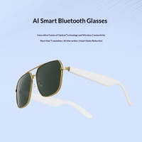 Gafas Inteligentes con IA Transfronteriza, Gafas de Sol Polarizadas con Protección UV y Luz Azul, Reproducción de Música, Traducción de Llamadas