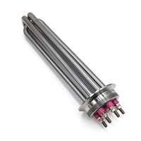Élément Chauffant Électrique à Induction Tubulaire Tri-Clamp 220V 380V Triphasé 12KW SUS304 pour Chauffe-Eau