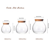 Vente en gros de bocaux ronds en verre Mousse de fougère Plantes succulentes Terrarium Vases en mousse transparente Micro paysage Vase en verre avec couvercle en liège