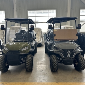 Carrito de Golf Urbano HKBG de 7-8 Plazas con Velocidad de 30-50 km/h y Autonomía de 50-70 km, Incluye Carrito de Golf Estándar, Precios del Producto - Product Image 4